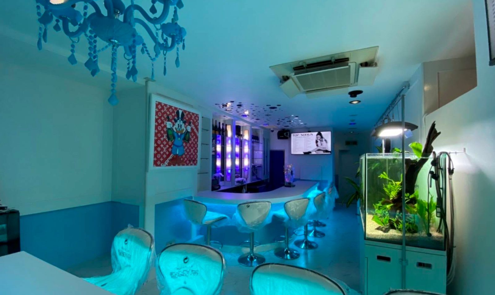 Girl's Bar Guppy 店内写真